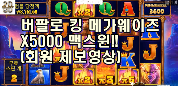 [슬롯2080] 버팔로 킹 메가웨이즈 5,000배 맥스윈  [slot2080] Pragmatic Play Buffalo King Megaways Max Win (회원 제보영상)